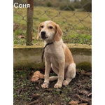 Сестры по несчастью, которые заслужили шанс на любовь