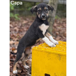 Сестры по несчастью, которые заслужили шанс на любовь