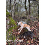 Сестры по несчастью, которые заслужили шанс на любовь