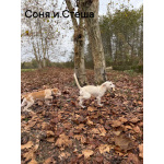 Сестры по несчастью, которые заслужили шанс на любовь