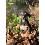 Сестры по несчастью, которые заслужили шанс на любовь