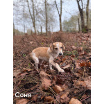 Сестры по несчастью, которые заслужили шанс на любовь