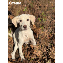 Сестры по несчастью, которые заслужили шанс на любовь