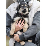 Малышка Юста ищет своих добрых людей.