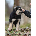 Малышка Юста ищет своих добрых людей.