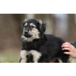 Малышка Юста ищет своих добрых людей.