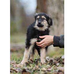 Малышка Юста ищет своих добрых людей.