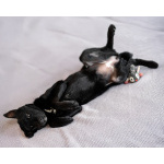 Молли — классическая чёрная собака-метис ищет дом.