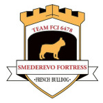 Французский бульдог – красивые щенки