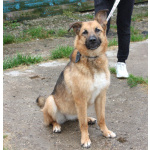 Позитивная Сэмми в поисках своей семьи!