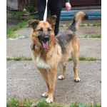 Позитивная Сэмми в поисках своей семьи!