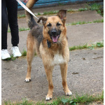 Позитивная Сэмми в поисках своей семьи!