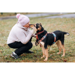 Молли ищет дом и человека, с которым будет делить каждое счастливое мгновение!