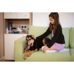 Молли ищет дом и человека, с которым будет делить каждое счастливое мгновение!