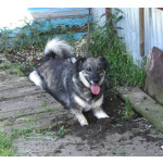 Ласковая, жизнерадостная, позитивная Златочка ждет свою семью, мечтает о доме.