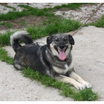 Ласковая, жизнерадостная, позитивная Златочка ждет свою семью, мечтает о доме.