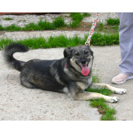 Ласковая, жизнерадостная, позитивная Златочка ждет свою семью, мечтает о доме.