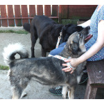 Ласковая, жизнерадостная, позитивная Златочка ждет свою семью, мечтает о доме.