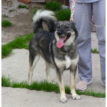 Ласковая, жизнерадостная, позитивная Златочка ждет свою семью, мечтает о доме.