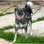 Ласковая, жизнерадостная, позитивная Златочка ждет свою семью, мечтает о доме.