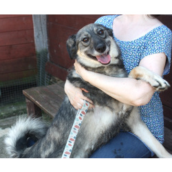 Ласковая, жизнерадостная, позитивная Златочка ждет свою семью, мечтает о доме.