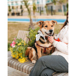 Толстушка ждёт родителей!