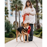 Толстушка ждёт родителей!