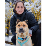 Мини шарпей