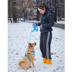 Мини шарпей