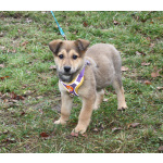 Малышка Нюша очень ждет своего родного ЧЕЛОВЕКА.