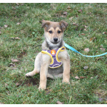 Малышка Нюша очень ждет своего родного ЧЕЛОВЕКА.