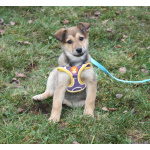 Малышка Нюша очень ждет своего родного ЧЕЛОВЕКА.