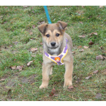 Малышка Нюша очень ждет своего родного ЧЕЛОВЕКА.