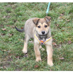 Малышка Нюша очень ждет своего родного ЧЕЛОВЕКА.