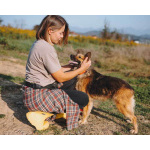 Домашняя миниатюрная собачка Леди, идеальный компаньон ищет дом