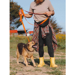 Домашняя миниатюрная собачка Леди, идеальный компаньон ищет дом