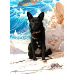 Миниатюрная, робкая девочка Мила в добрые руки!