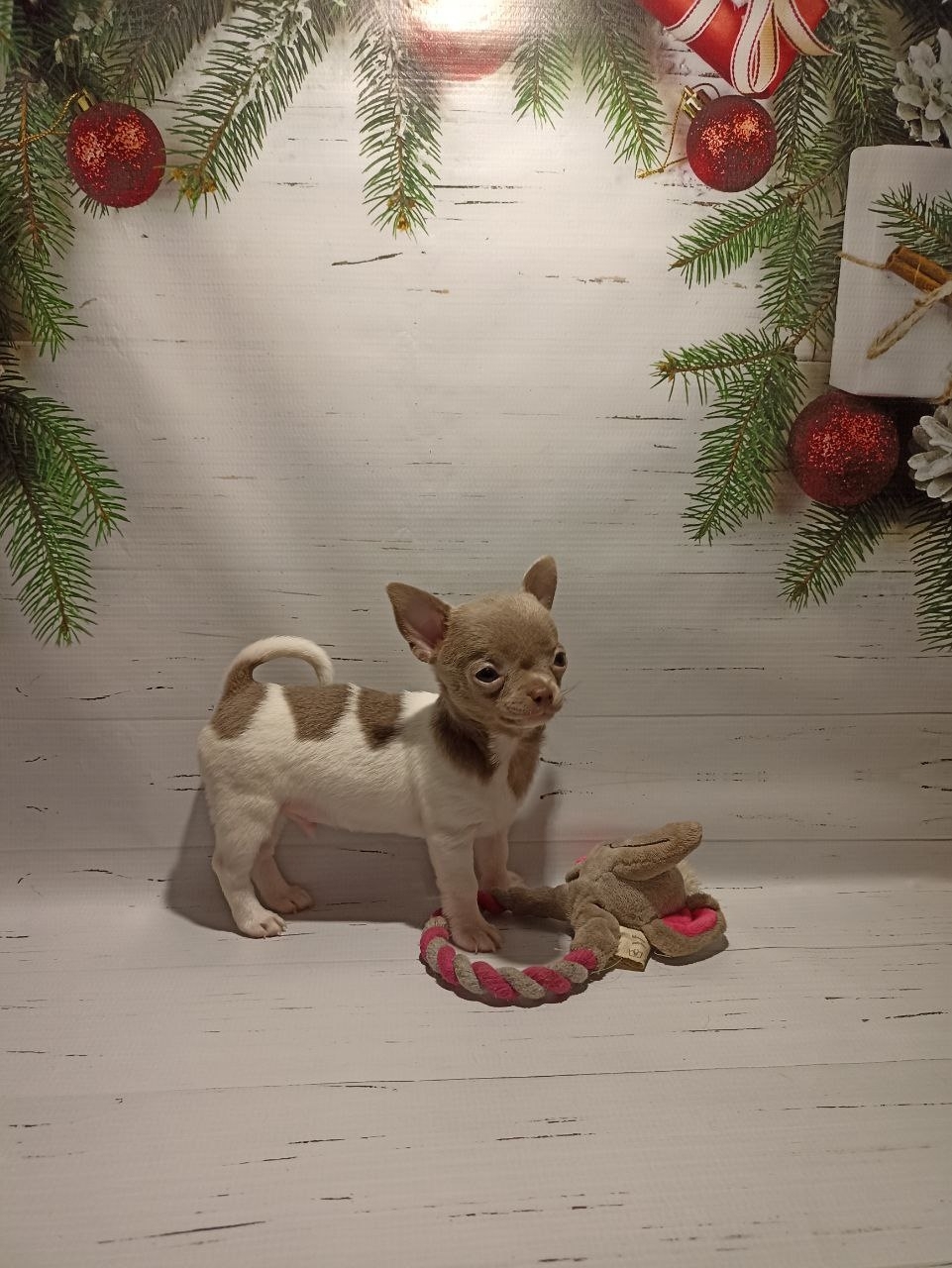 Очень красивый мальчик