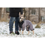 Ищете верного друга и компаньона для всей семьи?