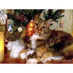 Домашняя трехцветная кошечка Дэлька в добрые руки