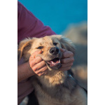 Малышка с чудесным характером ищет семью.