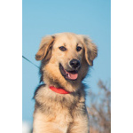 Малышка с чудесным характером ищет семью.