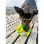 Молодая собака Вита, немецкая овчарка ищет дом