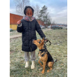 Умный, контактный, игривый Рокки ищет дом!