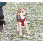 Малышка Нюша очень ждет своего родного ЧЕЛОВЕКА.