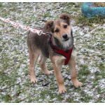 Малышка Нюша очень ждет своего родного ЧЕЛОВЕКА.