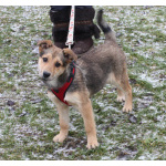 Малышка Нюша очень ждет своего родного ЧЕЛОВЕКА.