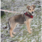 Малышка Нюша очень ждет своего родного ЧЕЛОВЕКА.