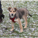 Малышка Нюша очень ждет своего родного ЧЕЛОВЕКА.