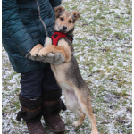 Малышка Нюша очень ждет своего родного ЧЕЛОВЕКА.